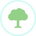 Tree Page Paths  screen for extension Chrome web store in OffiDocs Chromium