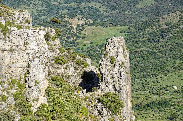 免费下载树岩西班牙安达卢西亚免费图片可使用 GIMP 免费在线图像编辑器进行编辑