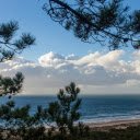 trees and beach  screen for extension Chrome web store in OffiDocs Chromium