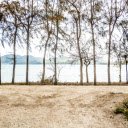 Trees by the lake  screen for extension Chrome web store in OffiDocs Chromium