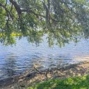 Trees cast shadows by the lake  screen for extension Chrome web store in OffiDocs Chromium