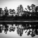 Tree silhouettes under the lake  screen for extension Chrome web store in OffiDocs Chromium