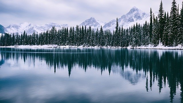 Free download trees lake birch trees snow winter free picture to be edited with GIMP free online image editor