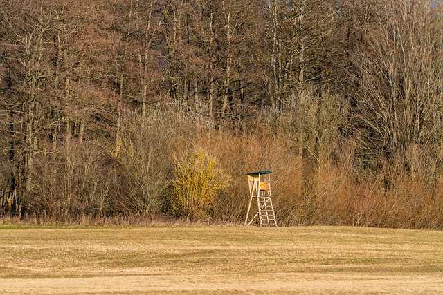 Free download trees meadow high seat hunting seat free picture to be edited with GIMP free online image editor