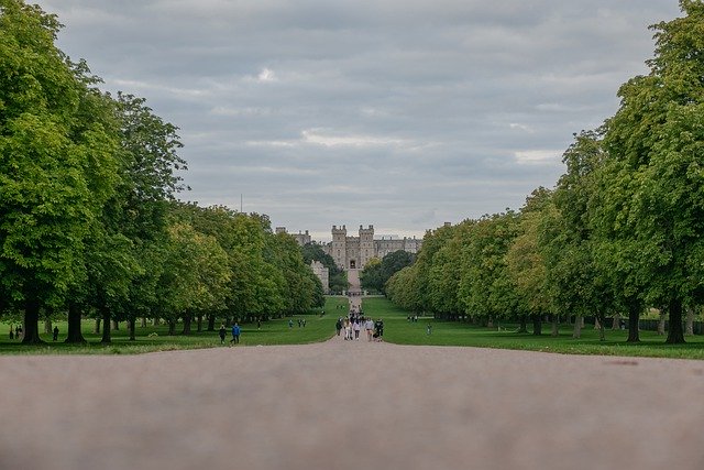 Unduh gratis pohon jalur taman jalur istana gambar gratis untuk diedit dengan editor gambar online gratis GIMP