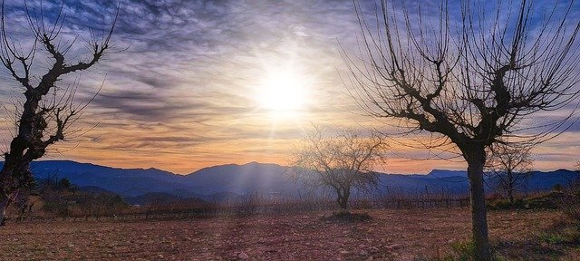 Free download trees sunrise sun nature landscape free picture to be edited with GIMP free online image editor