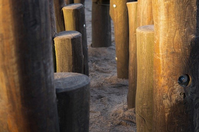 Free download tree stakes wooden posts sunlit free picture to be edited with GIMP free online image editor