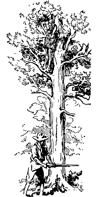 Darmowe pobieranie Drzewo Wysokie Duże - Darmowa grafika wektorowa na Pixabay darmowa ilustracja do edycji za pomocą GIMP darmowy edytor obrazów online