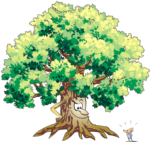 Скачать бесплатно Tree Trees Forest - бесплатное фото или изображение для редактирования с помощью онлайн-редактора изображений GIMP