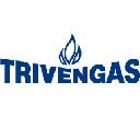 Trivengas Theme  screen for extension Chrome web store in OffiDocs Chromium