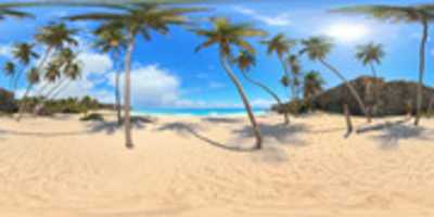 Free download Tropical Beach 8k free photo or picture to be edited with GIMP online image editor