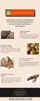 Free download Tropical Fruits Supplier free photo or picture to be edited with GIMP online image editor