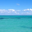 Tropical Serenity  screen for extension Chrome web store in OffiDocs Chromium