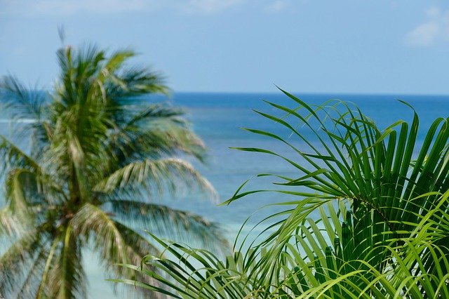 تنزيل مجاني لصور الشاطئ الاستوائية ذات الطبيعة الصيفية الاستوائية لتحريرها باستخدام محرر الصور المجاني على الإنترنت GIMP