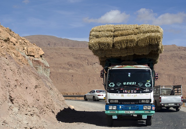 Бесплатно скачать грузовик солома, Марокко, ты путешествуешь, бесплатная картинка для редактирования в бесплатном онлайн-редакторе изображений GIMP