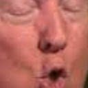 Trump, Begone!  screen for extension Chrome web store in OffiDocs Chromium