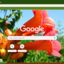 Trumpet Vine  screen for extension Chrome web store in OffiDocs Chromium