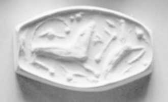Free download Truncated amygdaloid (rhomboid ?) seal free photo or picture to be edited with GIMP online image editor