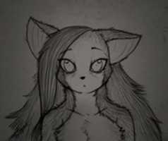 Free download Try Of Furry free photo or picture to be edited with GIMP online image editor