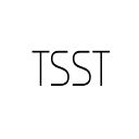 TSST  screen for extension Chrome web store in OffiDocs Chromium