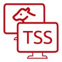 TSS TeamViewer launcher  screen for extension Chrome web store in OffiDocs Chromium