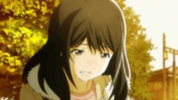 Free download tsuki1 free photo or picture to be edited with GIMP online image editor