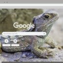 Tuatara  screen for extension Chrome web store in OffiDocs Chromium