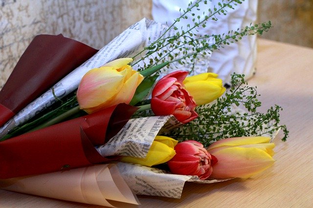 Faça o download gratuito de flores de tulipa, tulipas de primavera, imagem gratuita para ser editada com o editor de imagens on-line gratuito do GIMP