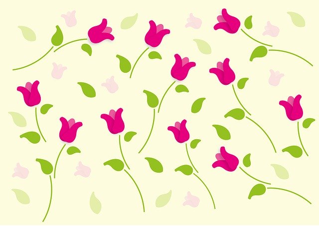 Free download tulips flower spring design deco free picture to be edited with GIMP free online image editor
