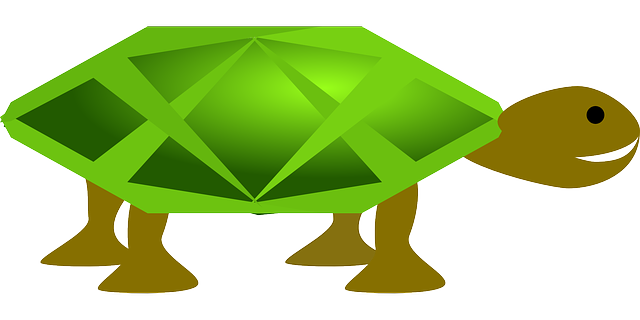Free download Turtle Green Animal - Free vector graphic on Pixabay free illustration to be edited with GIMP free online image editor