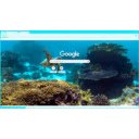 Turtle Light Blue  screen for extension Chrome web store in OffiDocs Chromium