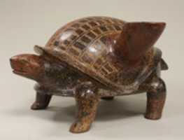 Free download Turtle Vessel free photo or picture to be edited with GIMP online image editor