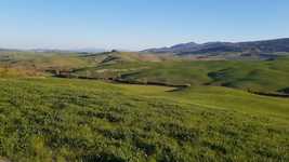 Free download Tuscany Green Hills -  free video to be edited with OpenShot online video editor