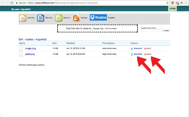 Ang OffiDocs ay nag-download o nagtanggal ng mga file mula sa filemanager