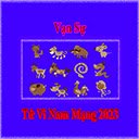 Tu Vi Nam Mang 2023 Mien Phi  screen for extension Chrome web store in OffiDocs Chromium