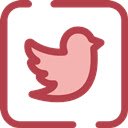 Tweets2PDF Convert All Tweets to One PDF/EPUB  screen for extension Chrome web store in OffiDocs Chromium