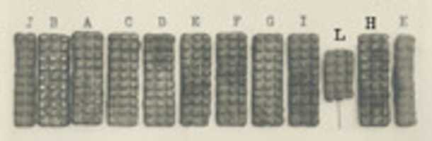 Free download Twelve Bracelet Spacers free photo or picture to be edited with GIMP online image editor