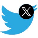 TwitterBird  screen for extension Chrome web store in OffiDocs Chromium