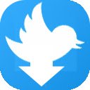 Màn hình Twitter™ Video Downloader Plus dành cho tiện ích mở rộng Cửa hàng Chrome trực tuyến trong OffiDocs Chrome