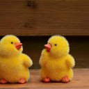 Two Chicks  screen for extension Chrome web store in OffiDocs Chromium