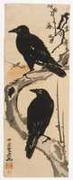 Free download Two Crows free photo or picture to be edited with GIMP online image editor