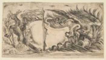 Free download Two Different Halves of Cartouches Each Showing an Eagle Fighting a Serpent free photo or picture to be edited with GIMP online image editor
