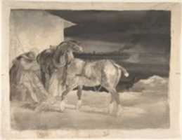 Free download Two Draft Horses with a Sleeping Driver free photo or picture to be edited with GIMP online image editor