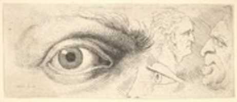 Free download Two Eyes and Two Heads, from the series of Anatomical Drawings free photo or picture to be edited with GIMP online image editor