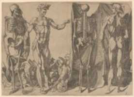Free download Two Flayed Men and Their Skeletons free photo or picture to be edited with GIMP online image editor