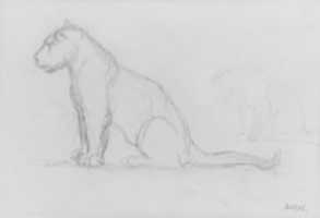 Free download Two Lionesses Facing Left free photo or picture to be edited with GIMP online image editor
