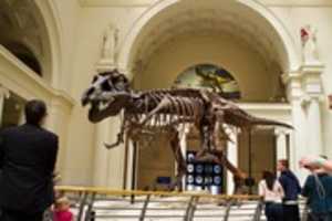 Free download Tyrannosaurus Skeleton in a Museum free photo or picture to be edited with GIMP online image editor