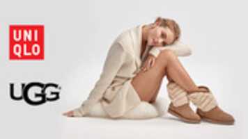 Free download ugg_uniqlo free photo or picture to be edited with GIMP online image editor