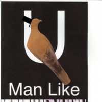 Free download U (Man Like) free photo or picture to be edited with GIMP online image editor