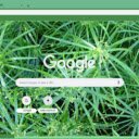 Umbrella Sedge  screen for extension Chrome web store in OffiDocs Chromium